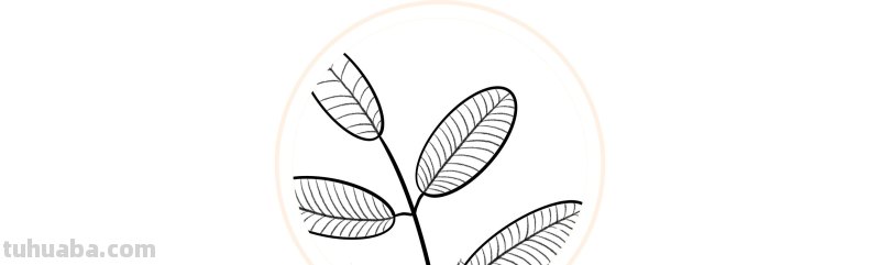 入门必备的简笔画植物，零基础也可以画的很好看