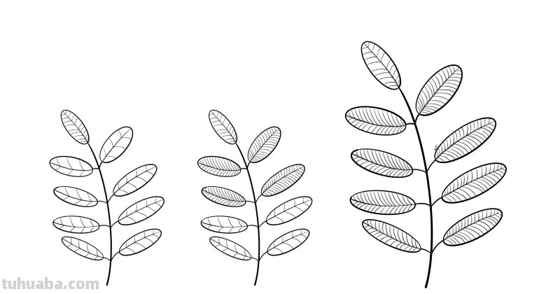 入门必备的简笔画植物，零基础也可以画的很好看