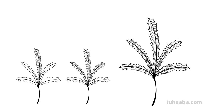 入门必备的简笔画植物，零基础也可以画的很好看