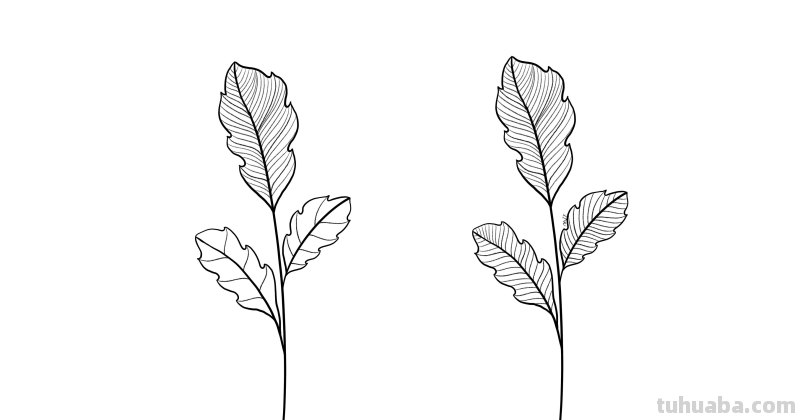 入门必备的简笔画植物，零基础也可以画的很好看