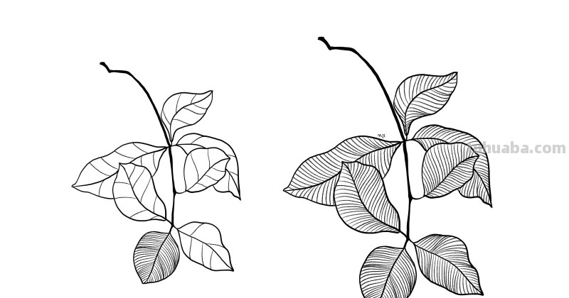 入门必备的简笔画植物，零基础也可以画的很好看