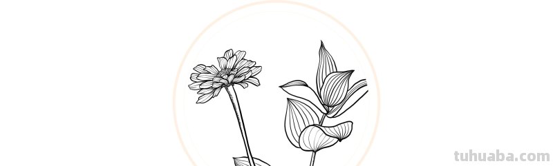 入门必备的简笔画植物，零基础也可以画的很好看