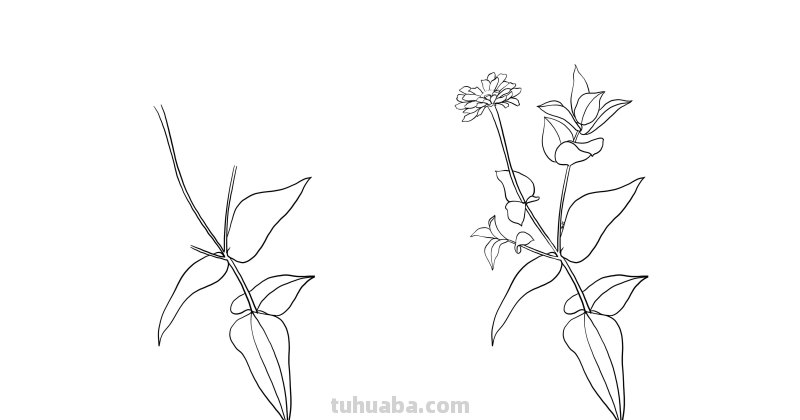 入门必备的简笔画植物，零基础也可以画的很好看