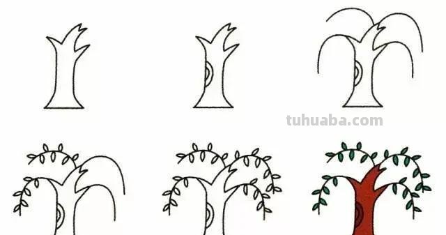 这9种小植物简笔画教程，步骤详细，最适合周末陪孩子一起画了！