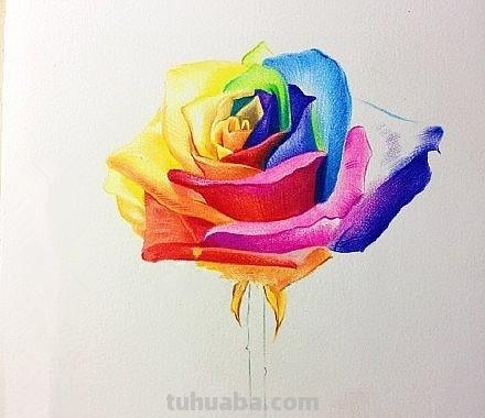 花朵怎么画 彩铅颜色（花朵怎么画 彩铅颜色好看）