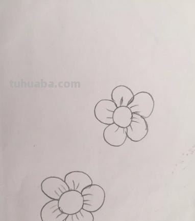 彩铅梅花怎么画简单（彩铅梅花怎么画简单又好看）