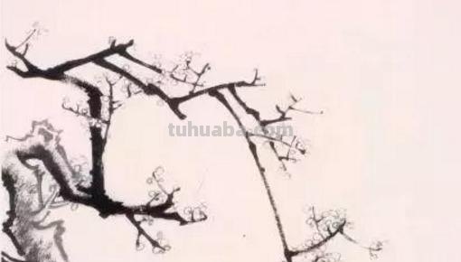 彩铅梅花怎么画简单（彩铅梅花怎么画简单又好看）