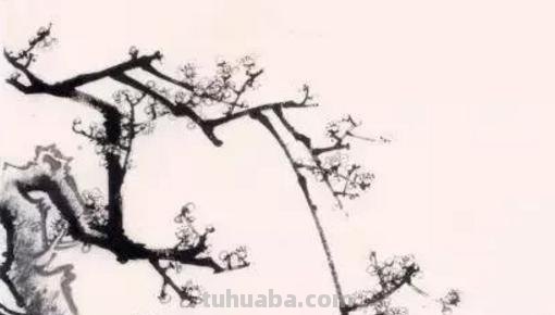 彩铅梅花怎么画简单（彩铅梅花怎么画简单又好看）