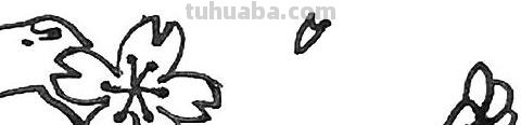 桃树怎么画简笔画(桃树怎么画简笔画图片) 桃树怎么画简笔画(桃树怎么画简笔画图片)