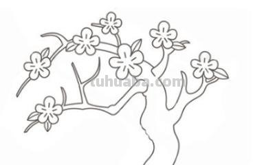 桃树怎么画简笔画(桃树怎么画简笔画图片) 桃树怎么画简笔画(桃树怎么画简笔画图片)