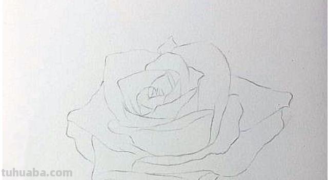 彩铅画怎么上色花朵(彩铅画怎么上色花朵好看) 彩铅画怎么上色花朵(彩铅画怎么上色花朵好看)