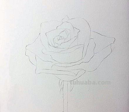 彩铅画怎么上色花朵(彩铅画怎么上色花朵好看) 彩铅画怎么上色花朵(彩铅画怎么上色花朵好看)