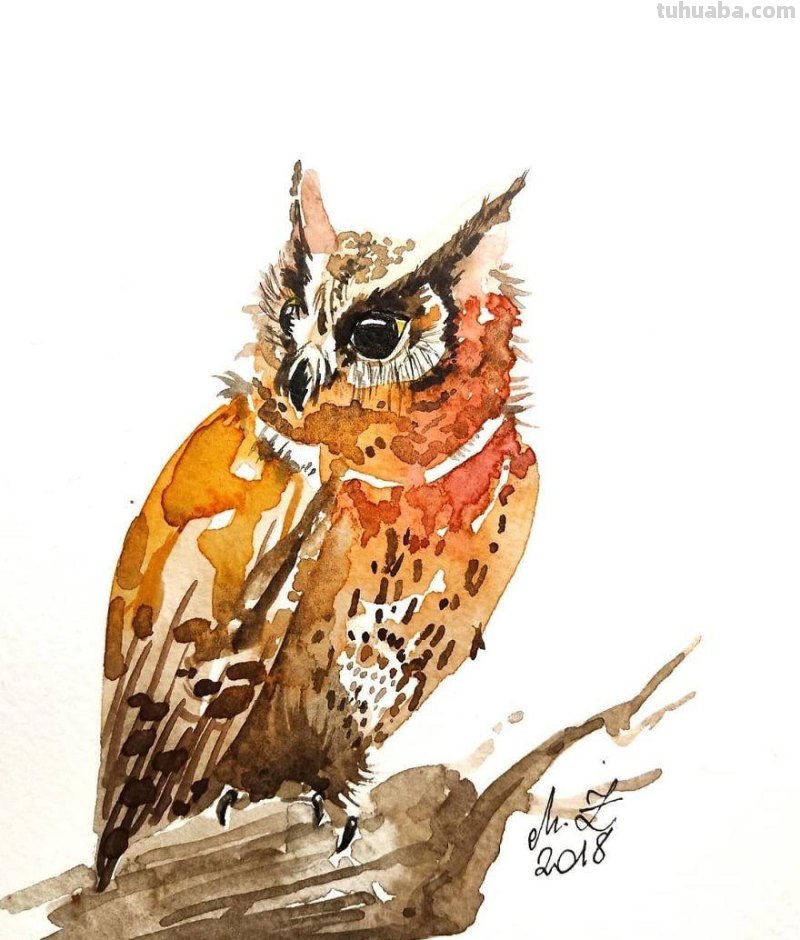 36张清新可爱的水彩画：插画师爱上猫头鹰，画到停不下来