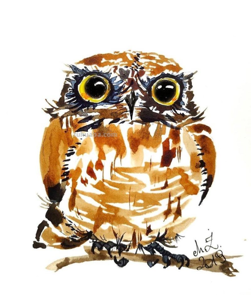 36张清新可爱的水彩画：插画师爱上猫头鹰，画到停不下来