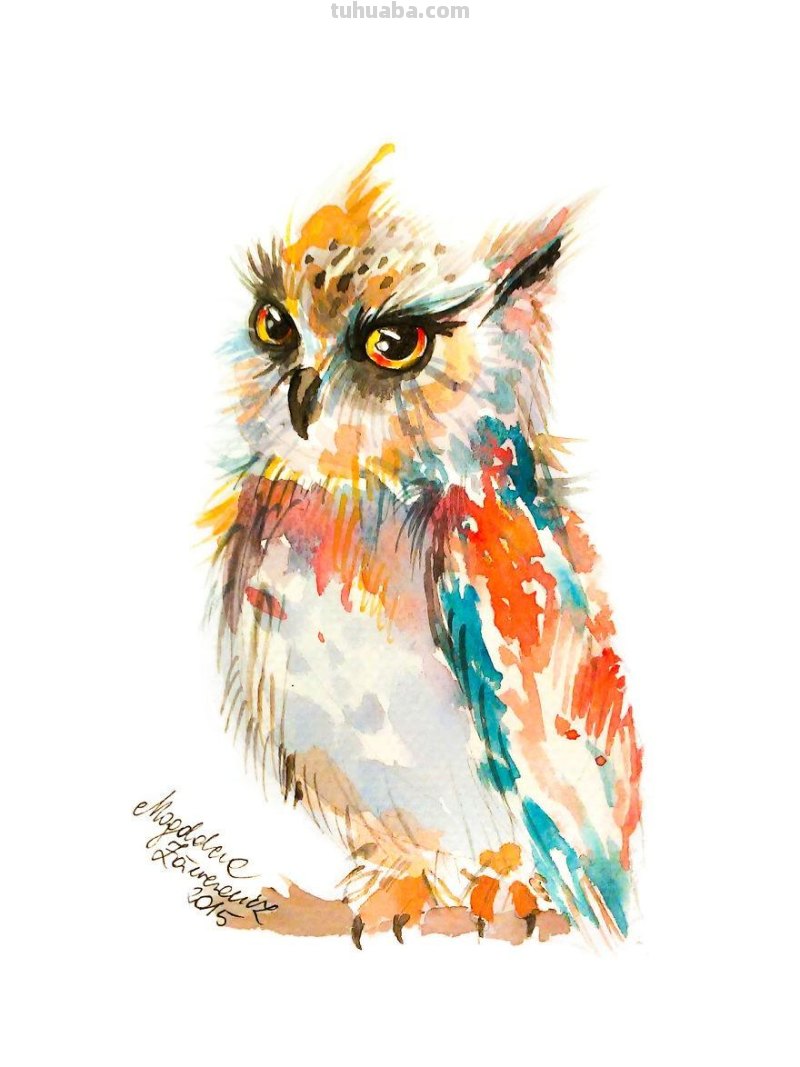 36张清新可爱的水彩画：插画师爱上猫头鹰，画到停不下来