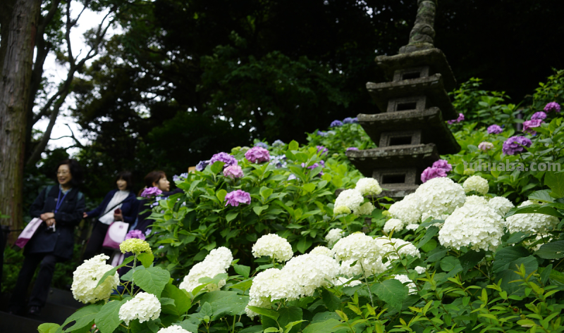 如何才能让孩子快乐成长 如何才能让孩子快乐成长呢