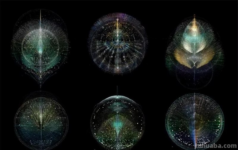 用数学到底如何手工作画，欢迎收看这期走近科学