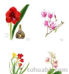 光明网推出《光明博物绘》科普专栏 展现科学与艺术融合之美 光明网推出《光明博物绘》科普专栏 展现科学与艺术融合之美