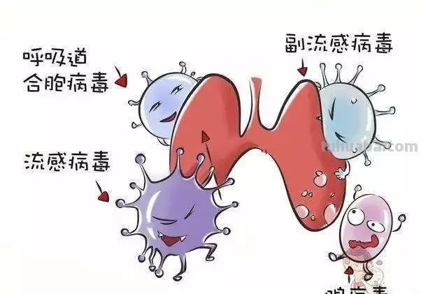 冬季呼吸道疾病高发,家长需警惕,呼吸道病毒家族成员有哪些?