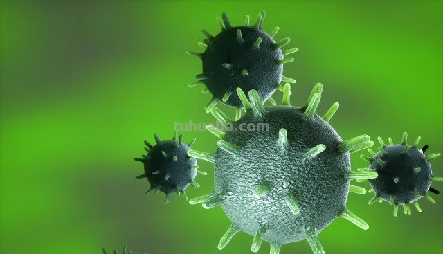 冬季呼吸道疾病高发,家长需警惕,呼吸道病毒家族成员有哪些?