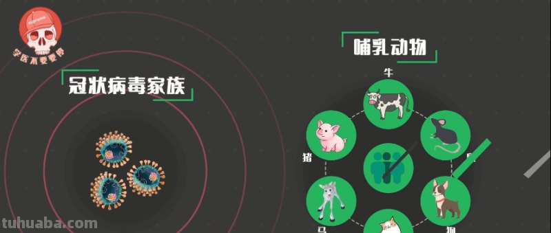 冬季呼吸道疾病高发,家长需警惕,呼吸道病毒家族成员有哪些?