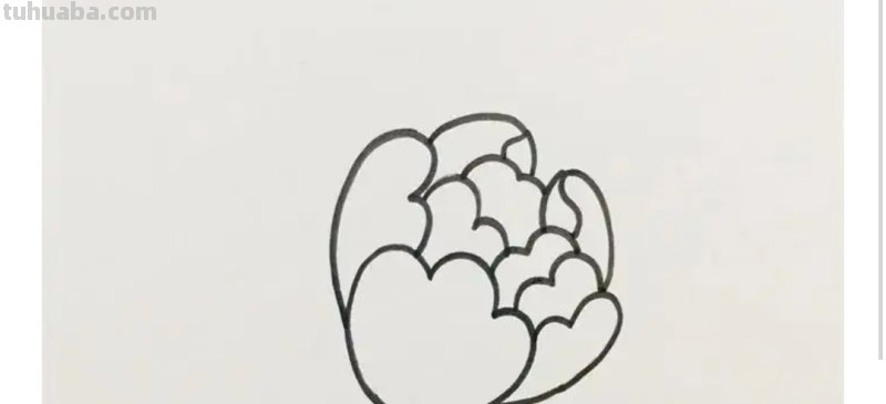 不用彩铅怎么画牡丹(不用彩铅怎么画牡丹花) 不用彩铅怎么画牡丹(不用彩铅怎么画牡丹花)