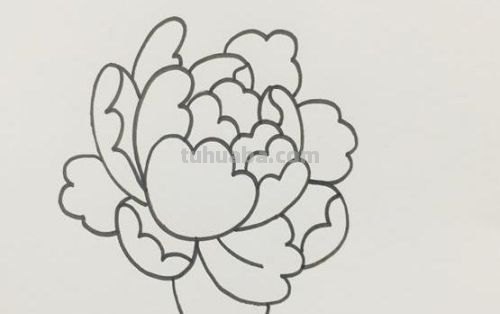 不用彩铅怎么画牡丹(不用彩铅怎么画牡丹花) 不用彩铅怎么画牡丹(不用彩铅怎么画牡丹花)