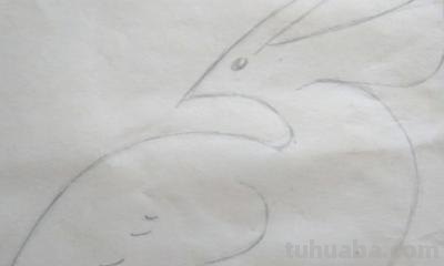 彩铅怎么画简单小鸟(彩铅怎么画简单小鸟图片) 彩铅怎么画简单小鸟(彩铅怎么画简单小鸟图片)