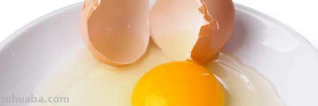 孩子多大就可以吃蛋黄了?为什么这么说呢?