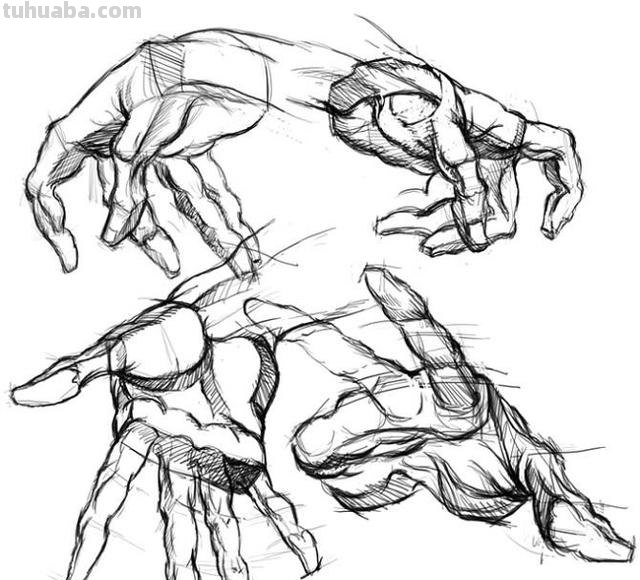手速写握拳（握拳手部速写）