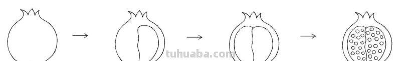 干货！教你8种常见水果简笔画法，简单易学，小白也能学会，收藏