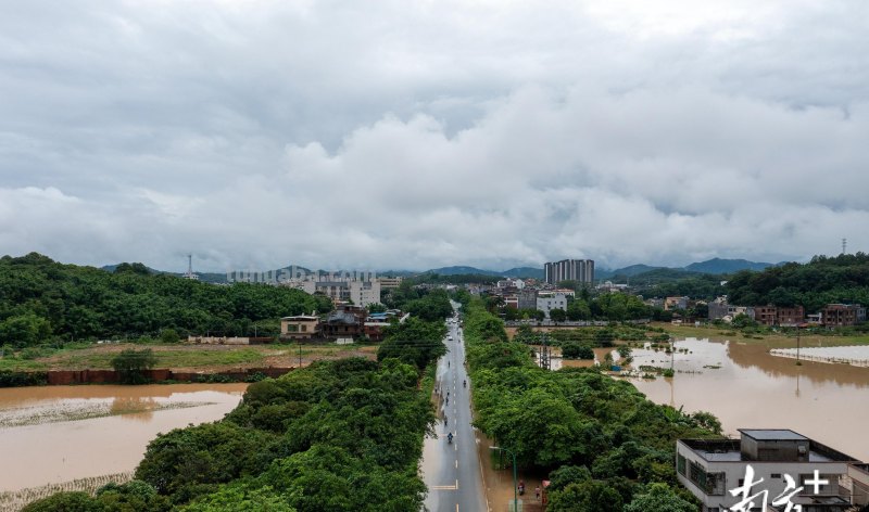 狂风暴雨后的温暖！开开农户的保险箱｜简笔画财经
