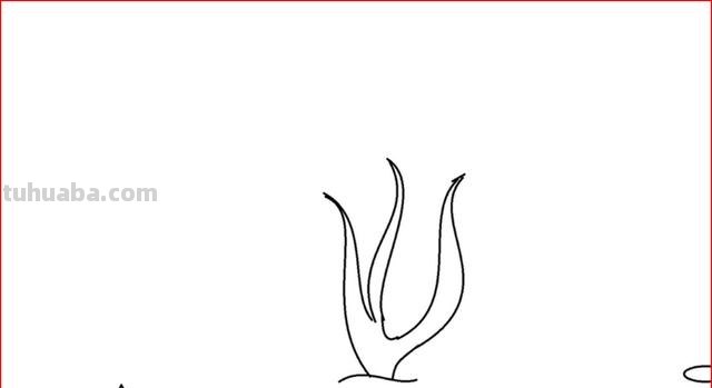海草怎么画简笔画(海草怎么画简笔画图片) 海草怎么画简笔画(海草怎么画简笔画图片)