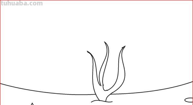 海草怎么画简笔画(海草怎么画简笔画图片) 海草怎么画简笔画(海草怎么画简笔画图片)