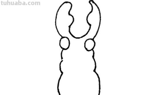 彩铅甲虫立体怎么画（彩铅甲虫立体怎么画图片）