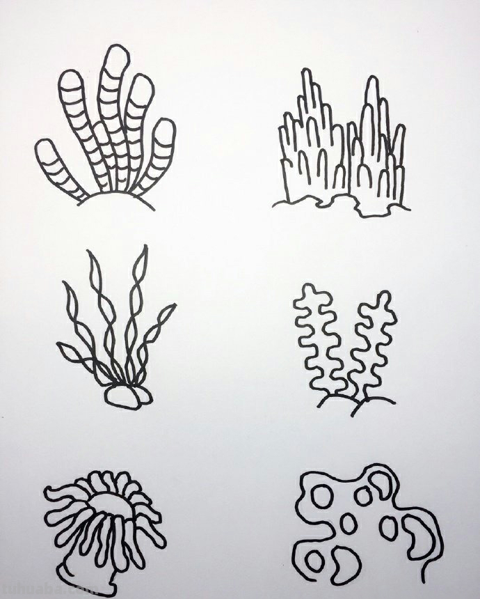 简笔画素材丨海底生物大集合,海底生物手绘素材,喜欢的可以收藏 简笔画素材丨海底生物大集合,海底生物手绘素材,喜欢的可以收藏