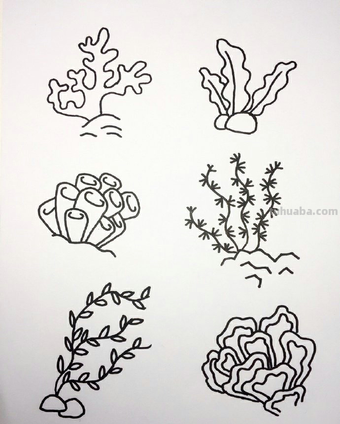 简笔画素材丨海底生物大集合,海底生物手绘素材,喜欢的可以收藏 简笔画素材丨海底生物大集合,海底生物手绘素材,喜欢的可以收藏