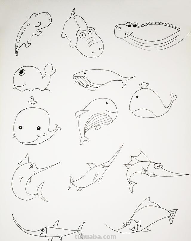 各种海洋生物及仙人掌简笔画集合！