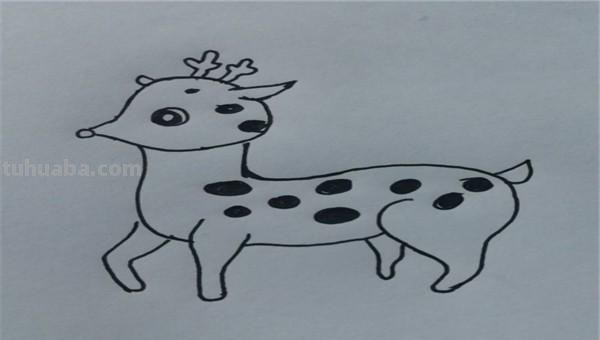 小鹿怎么画简笔画(小鹿怎么画简笔画图片) 小鹿怎么画简笔画(小鹿怎么画简笔画图片)