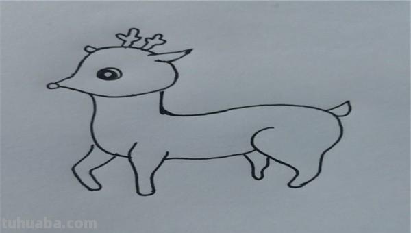 小鹿怎么画简笔画(小鹿怎么画简笔画图片) 小鹿怎么画简笔画(小鹿怎么画简笔画图片)