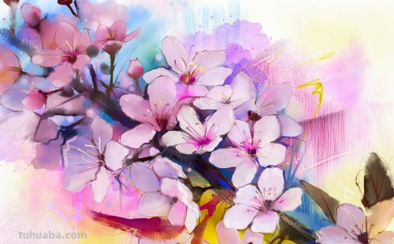 水彩画常用工具介绍 水彩画常用工具介绍