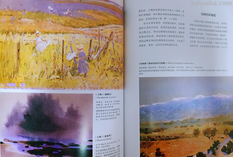一本书-31堂水彩艺术大师课