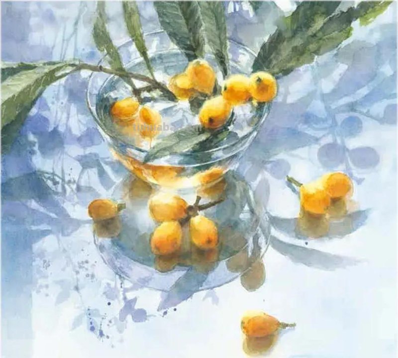 喜欢水彩的画友，安利这几本书