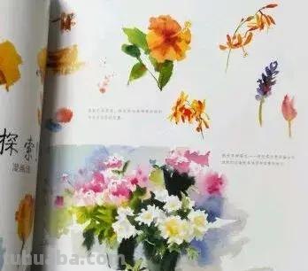 喜欢水彩的画友，安利这几本书