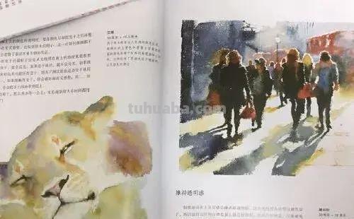 喜欢水彩的画友，安利这几本书