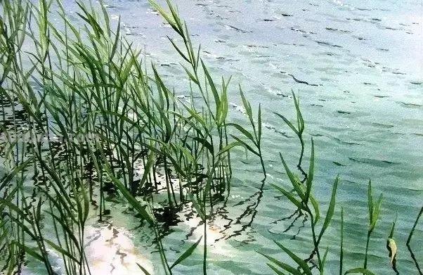 日本画家Abe Toshiyuki 写实风景水彩画欣赏