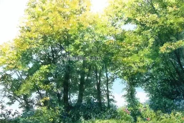 日本画家Abe Toshiyuki 写实风景水彩画欣赏