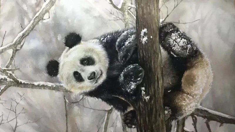 这些小动物在她的水彩画里活了，个个充满神韵！