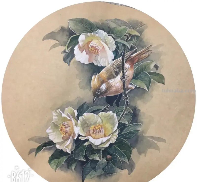 这些小动物在她的水彩画里活了，个个充满神韵！