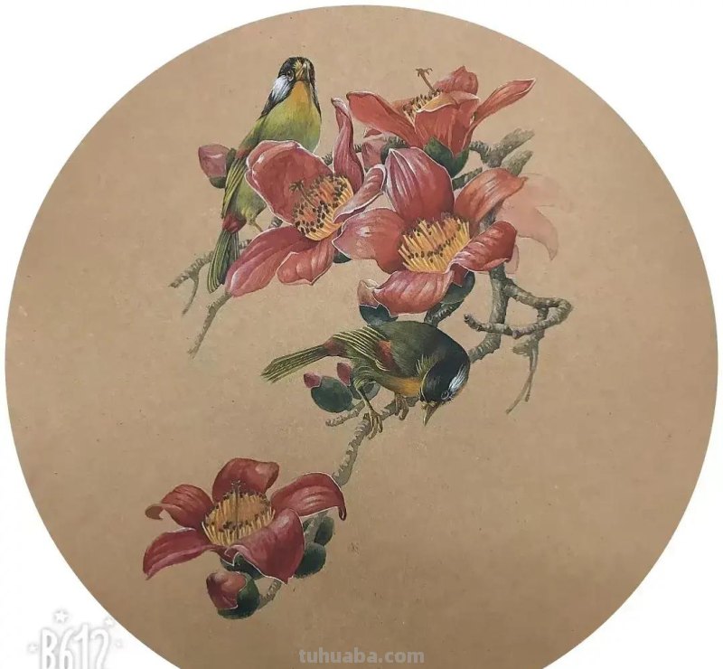 这些小动物在她的水彩画里活了，个个充满神韵！